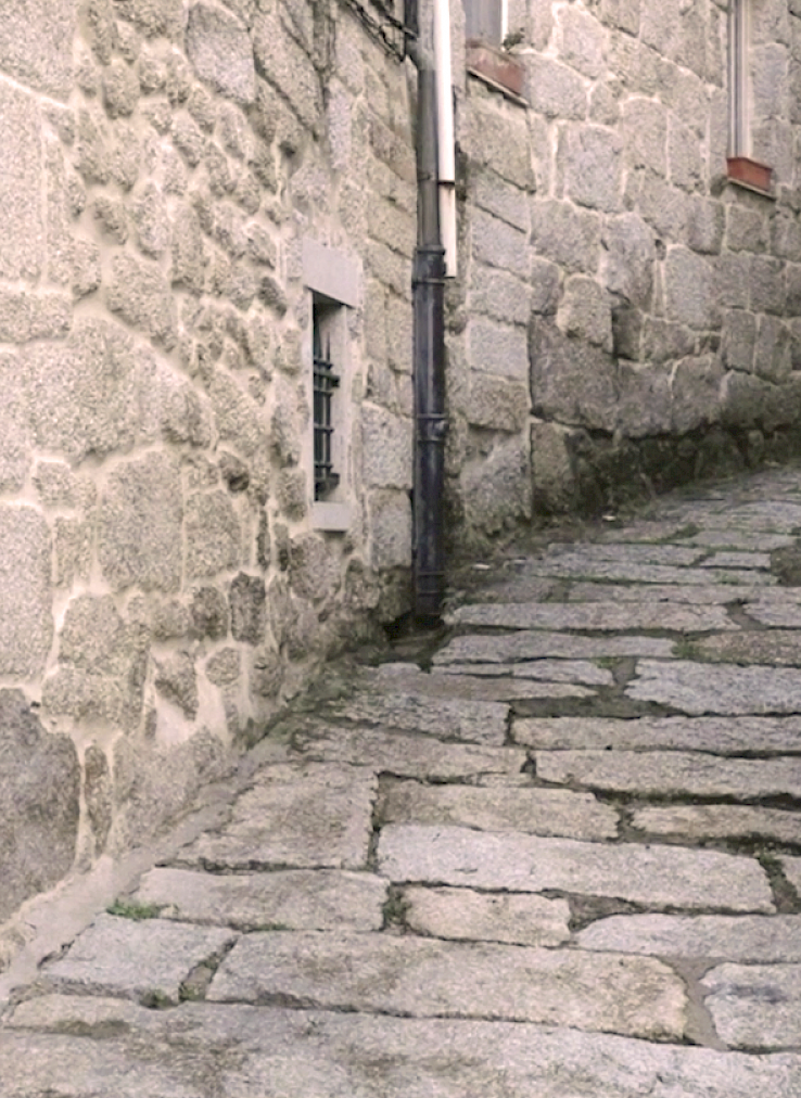 VISUAL TRUST AS AN AFFECTIVE AND IMAGINATIVE PRACTICE